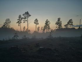 Latest Carbon News, Prices & Analysis | Quantum Commodity Latest Carbon News, Prices & Analysis | Quantum Commodity