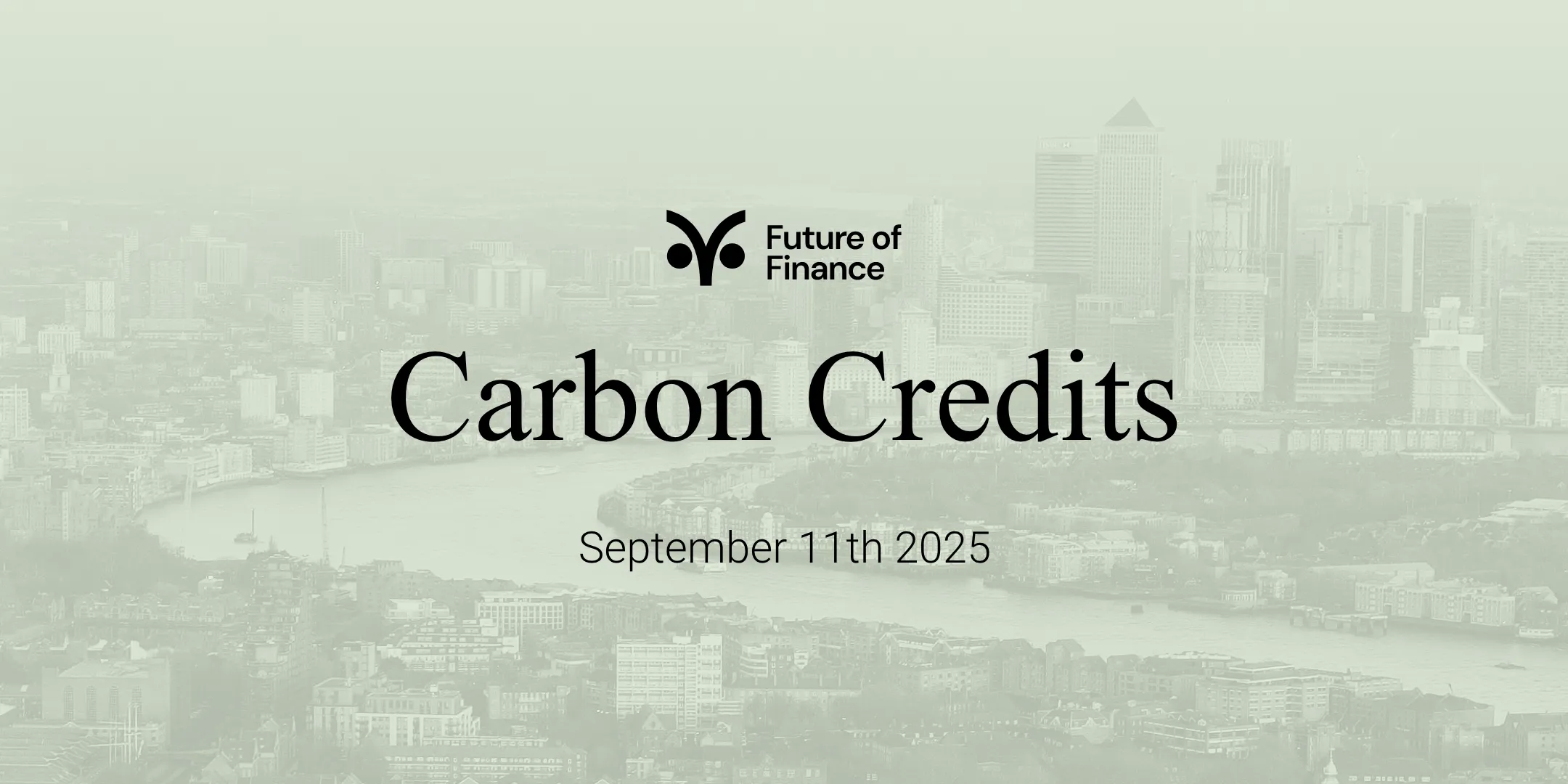 Future of Finance Carbon Credits 2025